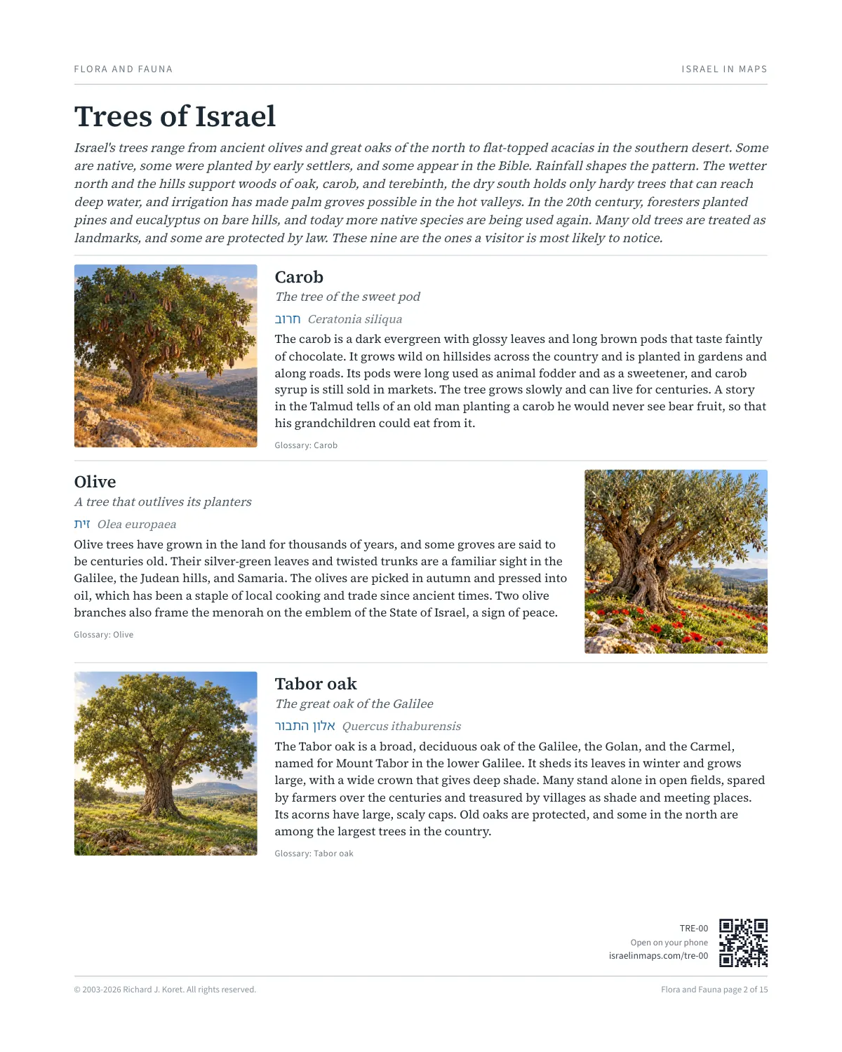 Trees of Israel