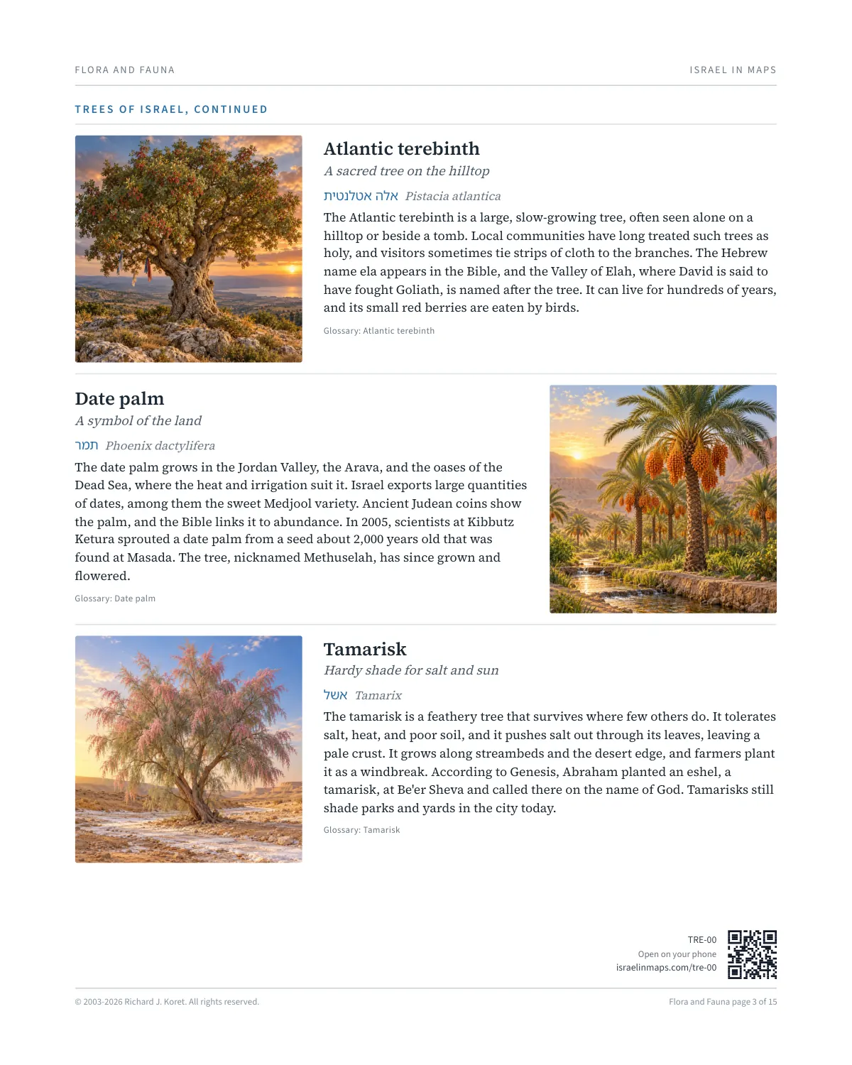Trees of Israel
