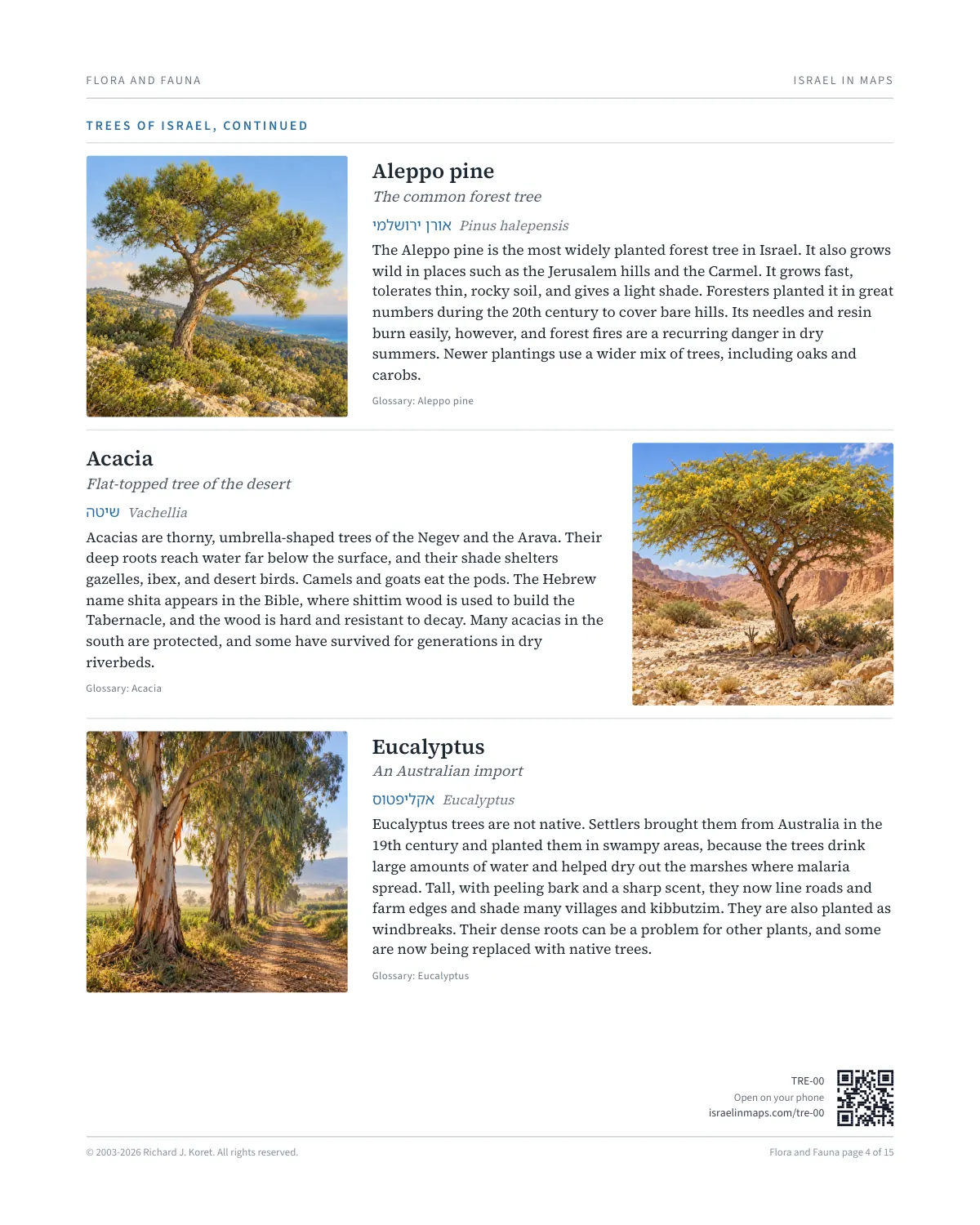 Trees of Israel
