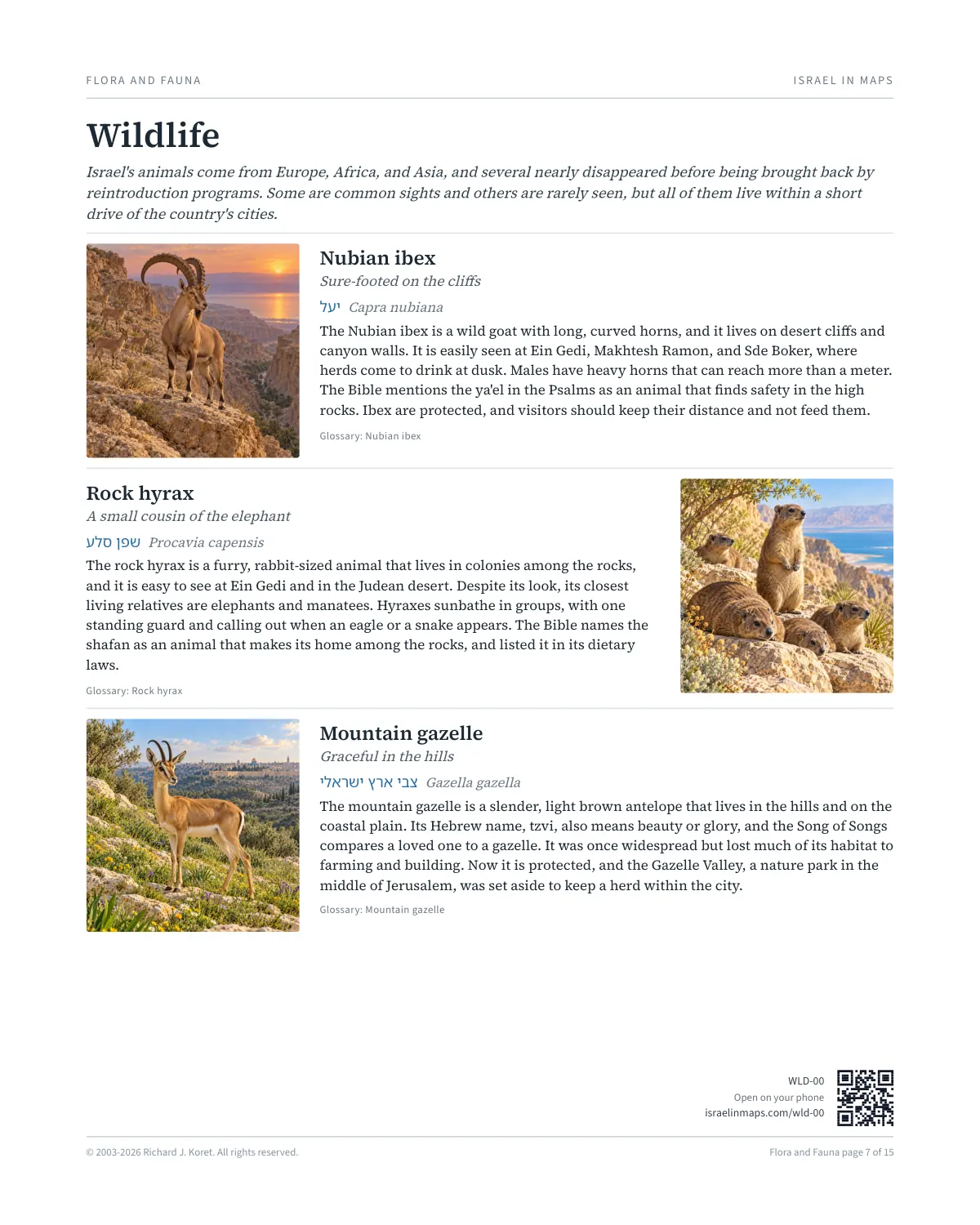 Wildlife