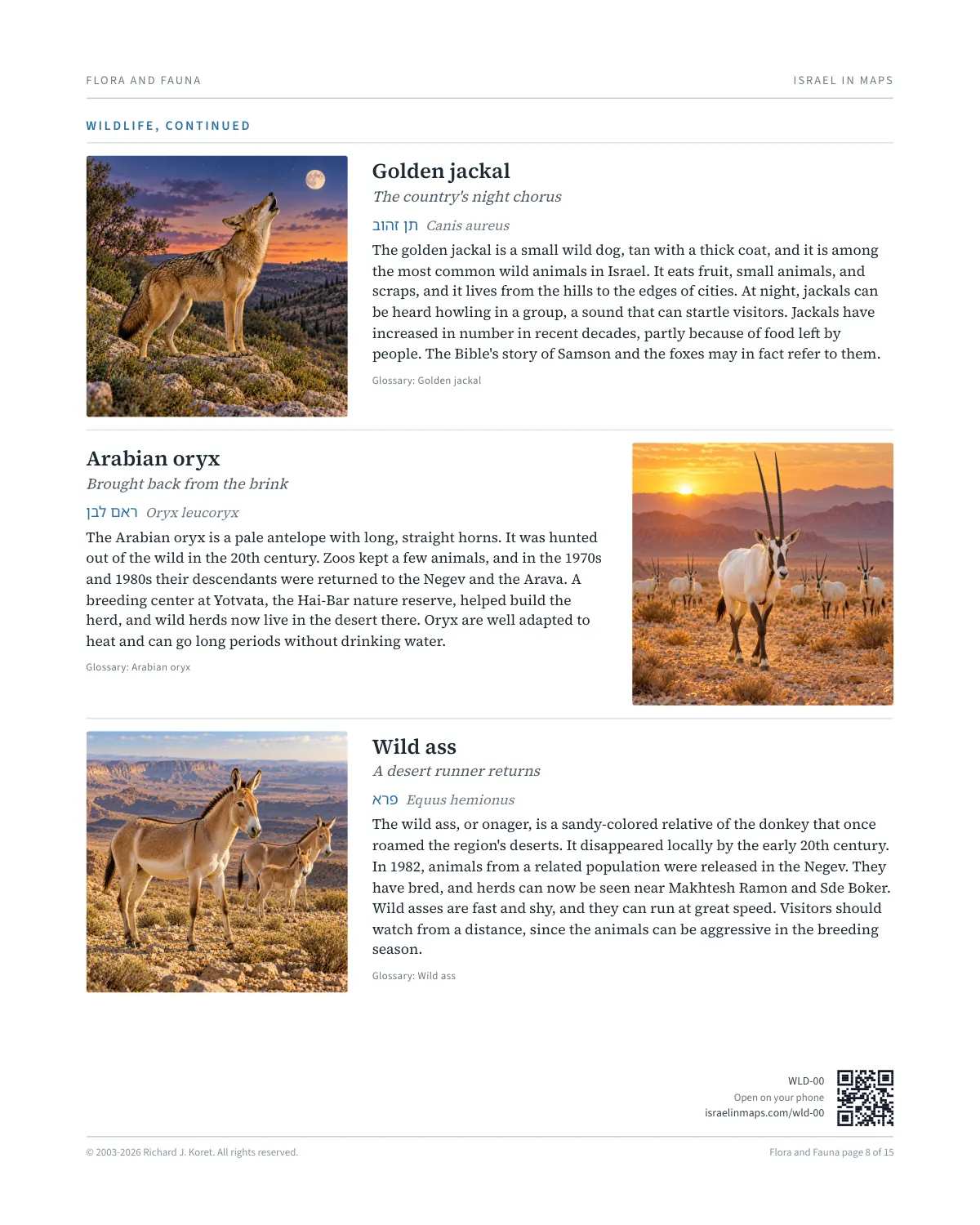Wildlife