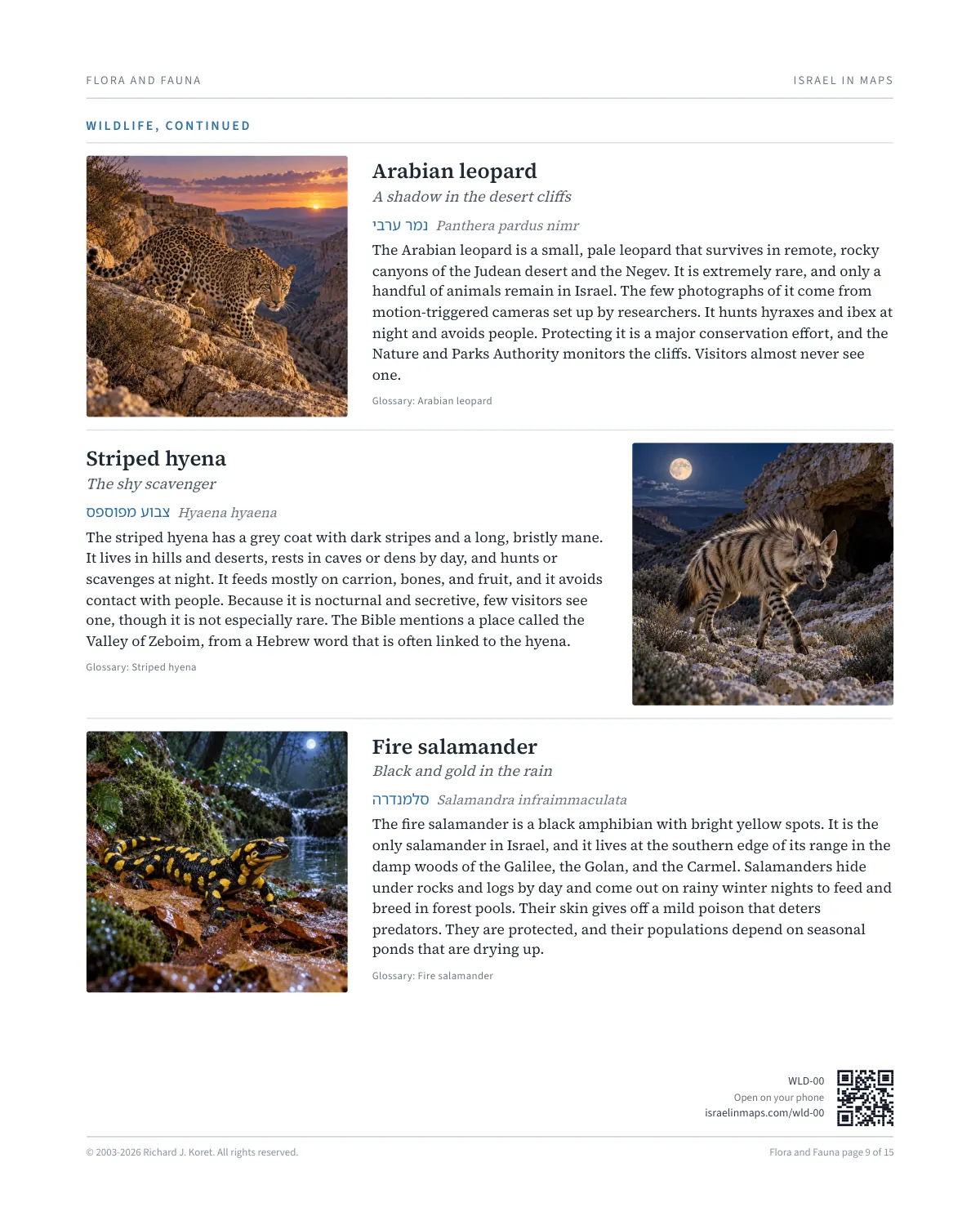 Wildlife